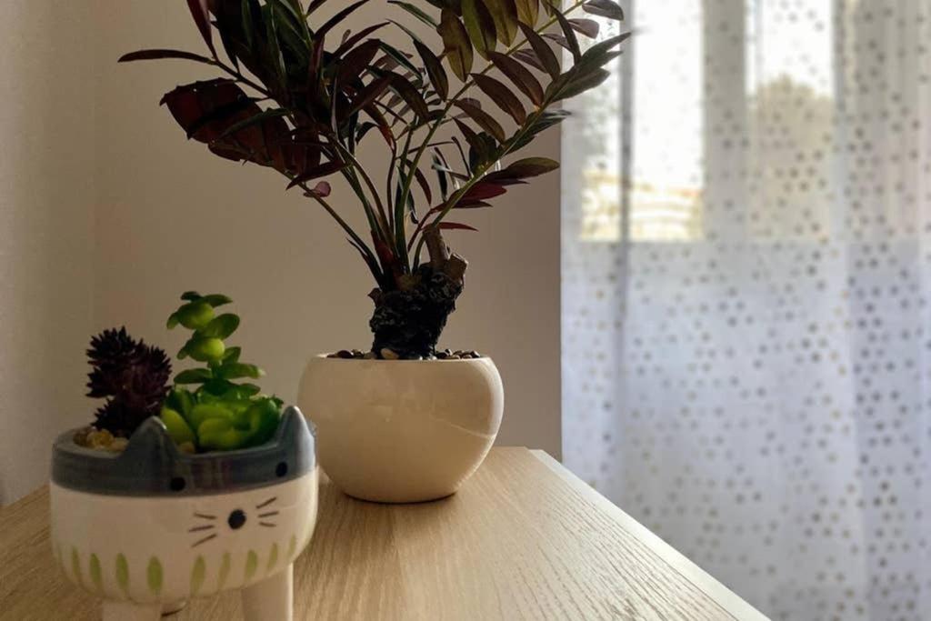 Central Modern Apartment Rome -Locazione Turistica- Zewnętrze zdjęcie